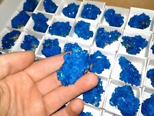 Chalcanthite blue crystal on matrix from Poland specimen 54pcs flat picture