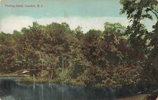Floating Island Lonsdale Rhode Island RI c1910 Postcard picture