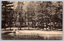 Swimming Pool-Oehler's Mountain Lodge R. F. D. 2, Kingston NY-VTG RPPC Postcard picture