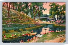 Palatka FL-Florida, Ravine Gardens, Natural Springs, Antique Vintage Postcard picture