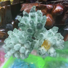 3.06lb  New Find Green Phantom Quartz Crystal Cluster Mineral Specimen Healing picture