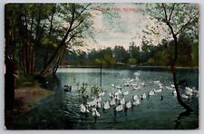Postcard Richmond VA Lakeside Park Geese Ducks Pond c1907 AC Bosselman picture