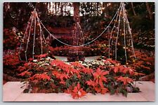 Postcard Christmas Display Jewel Box Forest Park St Louis Missouri Mo Flowers picture
