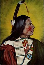 Vintage Postcard  Chief Fast Thunder Sioux by Gabriel Karden 1975          C-578 picture