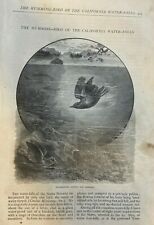 1878 John Muir Hummingbird of the California Waterfalls illustrated picture
