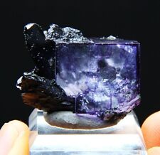 27g natural cubic purple-blue fluorite symbiotic black tungsten ore/China picture