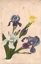 Vintage Postcard 1900s Beautiful Colorful Flowers Blooms Floral Artwork Painting picture