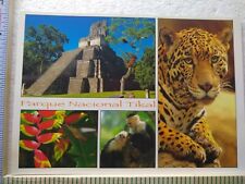 Postcard Parque Nacional Tikal Guatemala picture