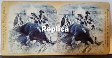 Nice Gen George Custer Stereoview With A Grizzly Bear Replica picture