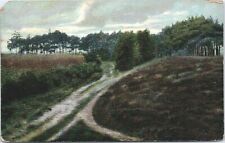 Postcard 1910 Country Road Art American Landscape Series Scenic Aerial View      picture