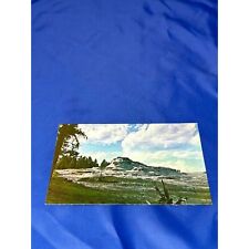 Castle geyser cone Yellowstone National Park postcard chrome Divided back picture
