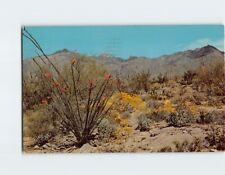 Postcard Springtime On The Desert picture