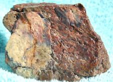Dinosaur Fossil “MAGA Red” Jurassic Petrified Jewelry Agatized Stone 205gr-7.3oz picture