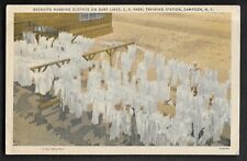 pk83020:Postcard-Vintage View Recruits Hanging Clothes,US Naval,Sampson,New York picture