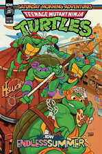 Idw Endless Summer--Teenage Mutant Ninja Turtles: Saturday Morning Adventures Co picture