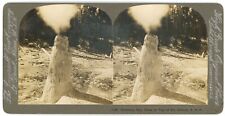 YELLOWSTONE SV - Monument Geyser Basin - Ingersoll View Co 1900s picture