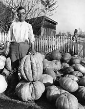 1927 Champion Pumpkin Grower, Frederick County, Maryland Old Photo Reprint picture