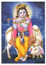 Sri Krishna with Cow Poster Home Office Temple  Size: 5