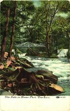 Picturesque View of The Falls In Bronx Park, New York Postcard picture