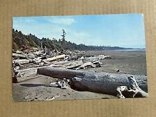 Postcard Washington WA Oregon OR Coast Beach Driftwood Pacific Ocean Debris picture