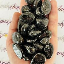 Nuummite (Greenland) - Tumbled - 1 Stone picture