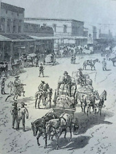 1879 Texas Galveston Dallas Fort Worth Comal River Mount Burnell illustrated picture
