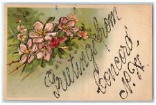 c1910 Greetings From Embossed Glitter Flower Concord New Hampshire NH Postcard picture