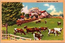 Vtg Scenic Greetings from Indian Head MD Farm Pasture Barn Cow Cattle Postcard picture