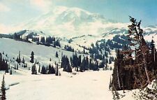 Mt Mount Rainier WA Washington Paradise Valley Cascade Range Vtg Postcard A1 picture