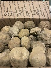 BOX OF KENTUCKY GEODES:27-2” TO 3 1/2” LAPIDARY picture