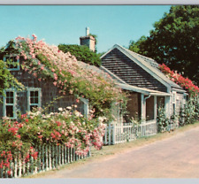 Nantucket Island, MA - Quaint Rose-Covered Cottages 1960s Vintage Postcard UNP picture