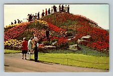 Schwenksville PA-Pennsylvania Ott's Exotic Greenhouse Flower Mt Vintage Postcard picture