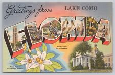 Lake Como Florida, Large Letter Greetings RARE, Vintage Postcard picture