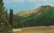 Postcard UT View of The Head of Bullion Canyon Beaver Utah picture