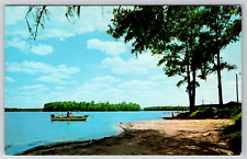 c1960s Lake Talquin Game Fish Vintage Postcard picture