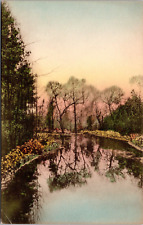 Cypress Gardens Charleston South Carolina- 1930s Hand Colored Albertype Postcard picture