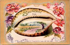 c1910s Cute Country Road with Cowrie Shell Fill-In Greeting Vintage Postcard picture