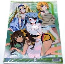 Inuyasha Stratos Clear File Anime Goods From Japan picture