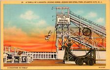 Linen Postcard Steel Pier High Diving Horses in Atlantic City, New Jersey picture