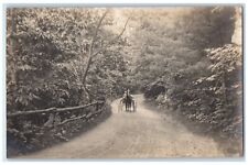 c1905 Horse Carriage Dirt Road Scenery Sheffield MA RPPC Photo Postcard picture
