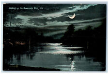c1910 Half Moonlight Looking Up The Suwannee River Florida FL Unposted Postcard picture