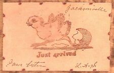 1905 JUST ARRIVED CHICK HATCHING BABY BIRTH WATERTOWN WI LEATHER POSTCARD P2550 picture