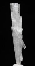 SCOLECITE Spray Formation Crystal Cluster Mineral Specimen Poona INDIA picture
