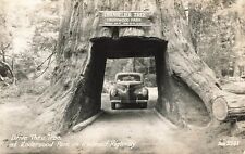 Drive Thru Tree at Underwood Park on Redwood Highway Posted 1948 Postcard picture