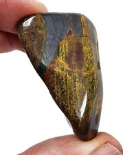 Tiger Iron Polished Stone 30.8 grams. picture