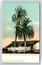 San Diego CA-California, Palms At Old Town, Antique, Vintage Postcard picture