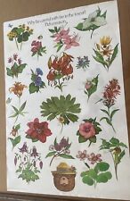Vintage Forrest Service Smokey Bear Flowers and plants Poster -, 20