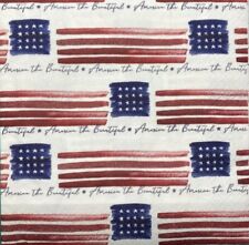 TWO Individual Luncheon Napkins For Decoupage Summer Patriotic America Flag picture