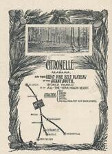 Magazine Ad - 1903 - CITRONELLE Heatlh Resort - Mobile, AL picture
