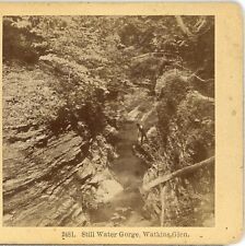 WATKINS GLEN, N.Y., Still Water Gorge--Kilburn Stereoview T55 picture